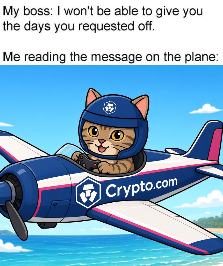RACECAT plane meme